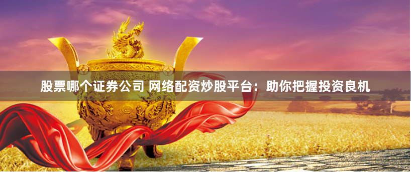 股票哪个证券公司 网络配资炒股平台：助你把握投资良机