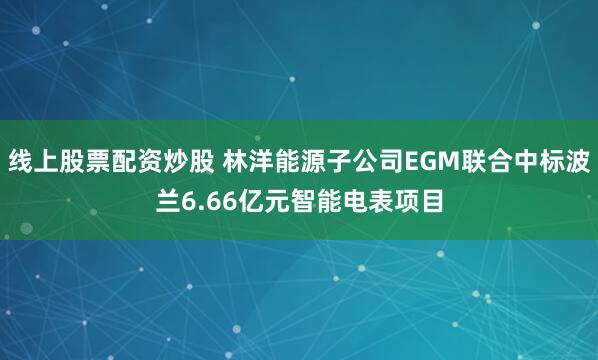 线上股票配资炒股 林洋能源子公司EGM联合中标波兰6.66亿元智能电表项目