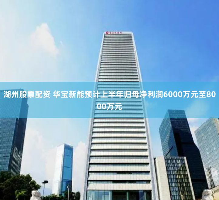 湖州股票配资 华宝新能预计上半年归母净利润6000万元至8000万元