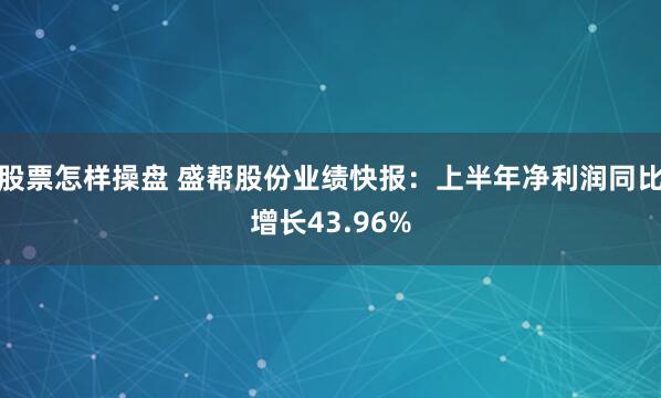 股票怎样操盘 盛帮股份业绩快报：上半年净利润同比增长43.96%