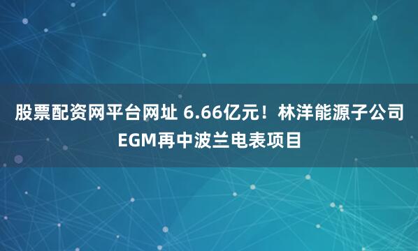 股票配资网平台网址 6.66亿元！林洋能源子公司EGM再中波兰电表项目