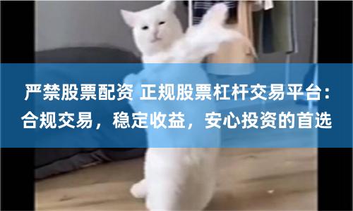 严禁股票配资 正规股票杠杆交易平台：合规交易，稳定收益，安心投资的首选