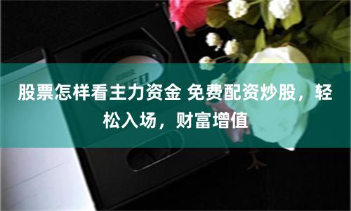 股票怎样看主力资金 免费配资炒股，轻松入场，财富增值