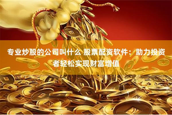 专业炒股的公司叫什么 股票配资软件：助力投资者轻松实现财富增值