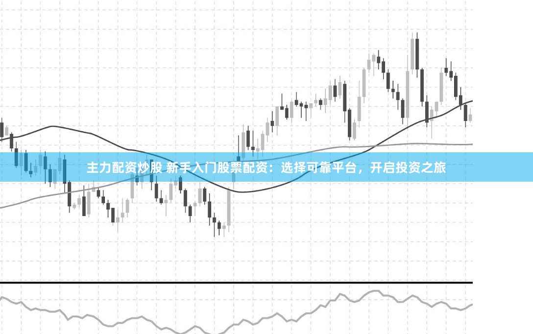 主力配资炒股 新手入门股票配资：选择可靠平台，开启投资之旅
