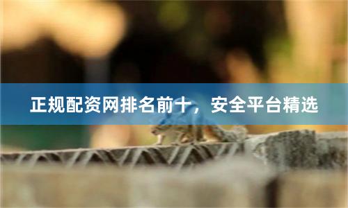 正规配资网排名前十，安全平台精选